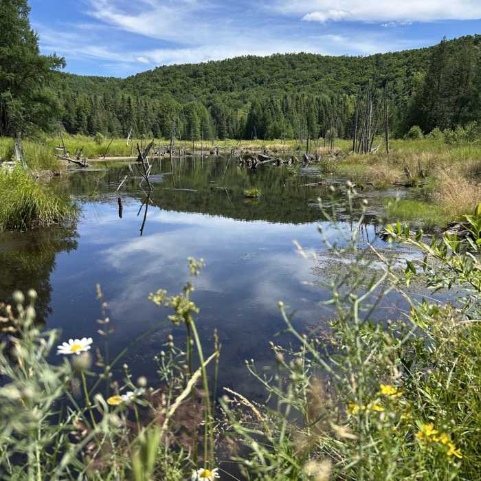 Near Jordan Valley Loop