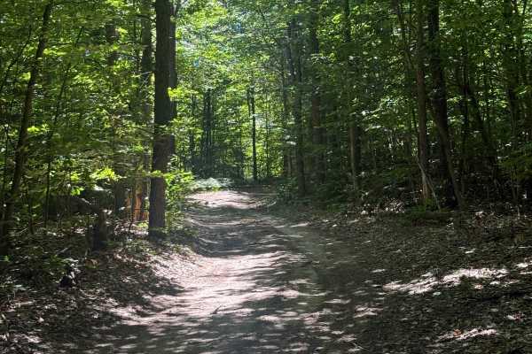 Big 4-Norconk-Swanson Connector Trail