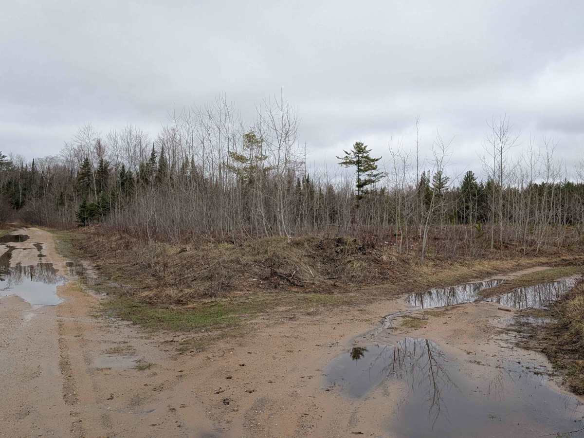 Manistee River Road Southeast photo 6