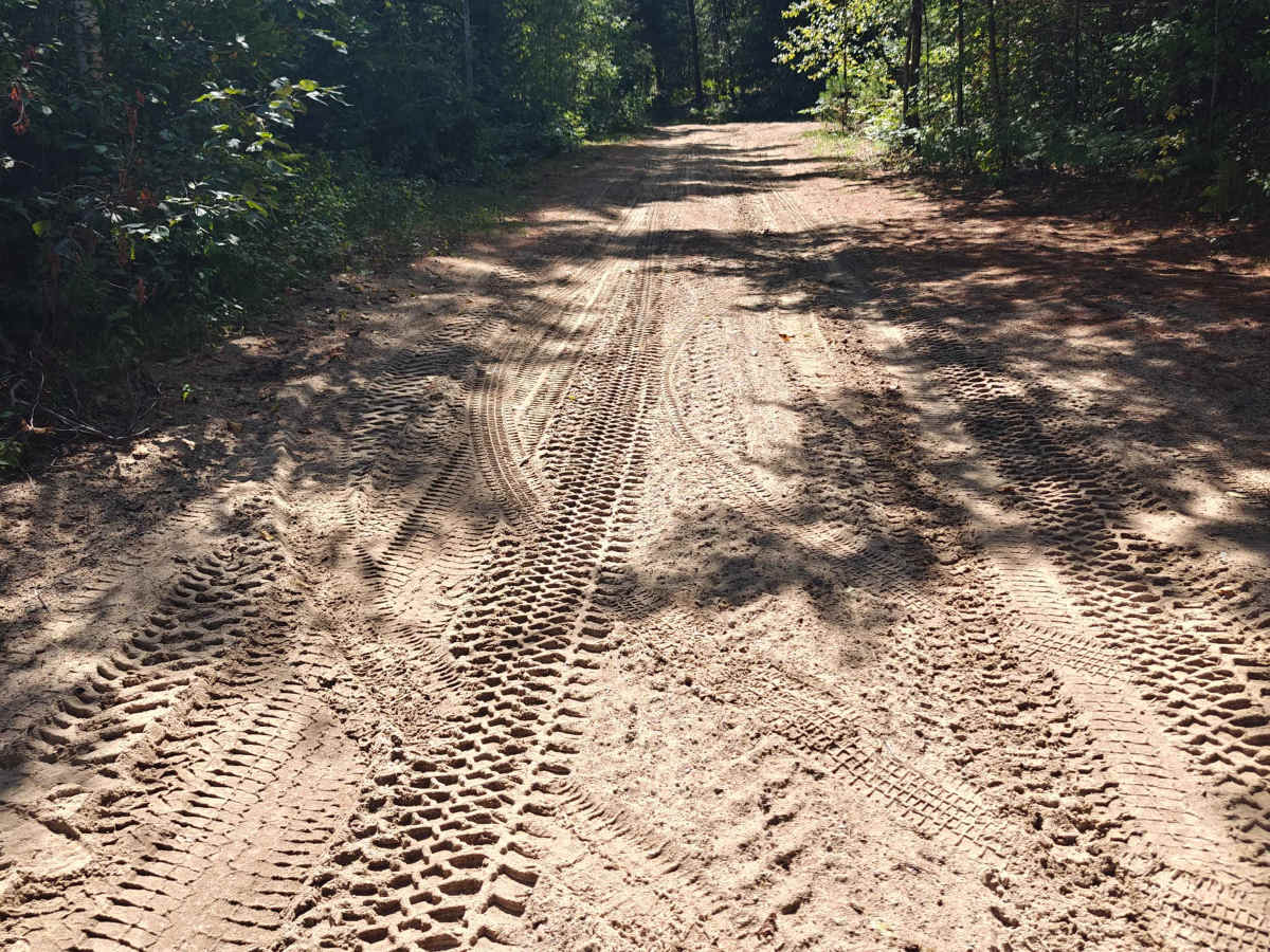 Townline Creek Trail photo 6