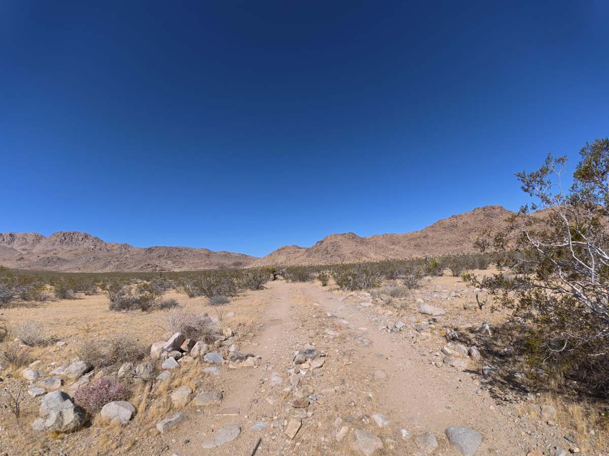 BLM SV2671 photo 3