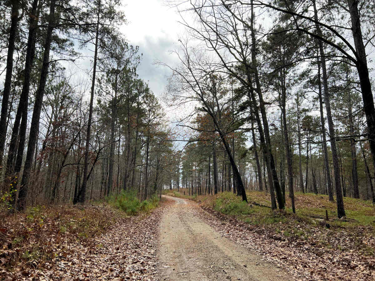 Scenic Juliette trail photo