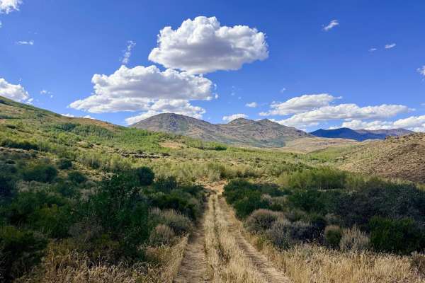 Deadman Springs - FS 56219