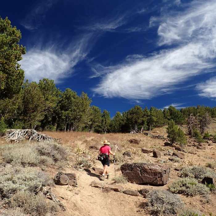 On the Summit Trail toward Patterson Lake Near Summit Trail #15E10