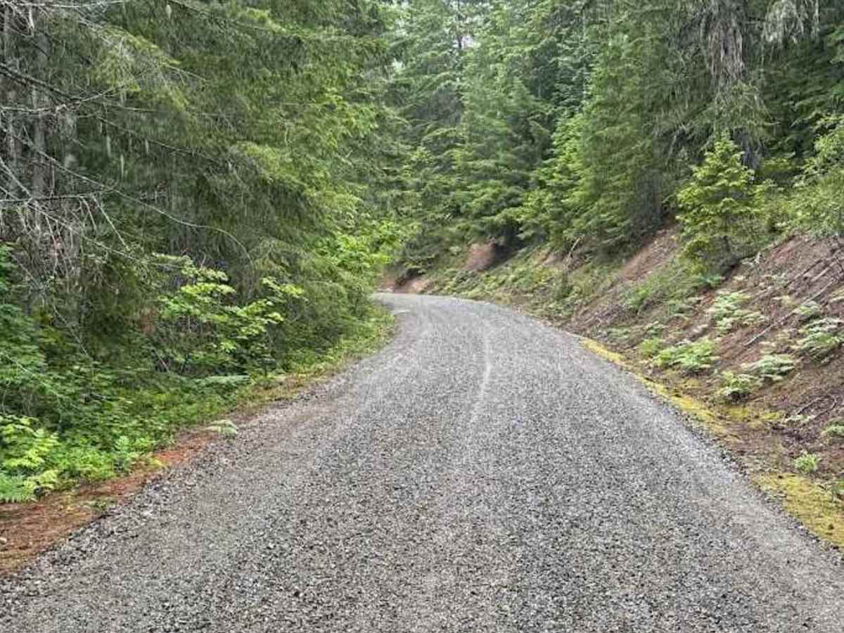 Dandy Creek - FS 5484 trail photo