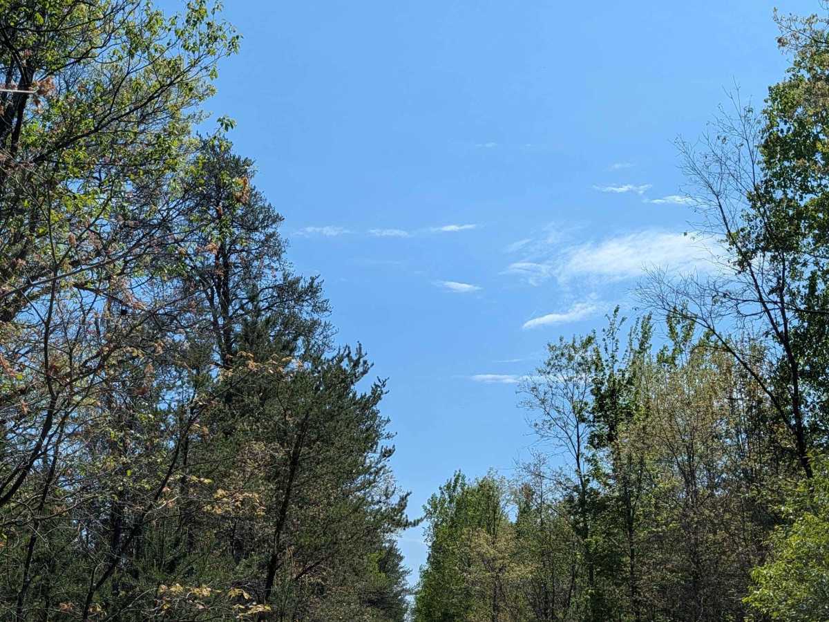 Spencers Trail photo 5