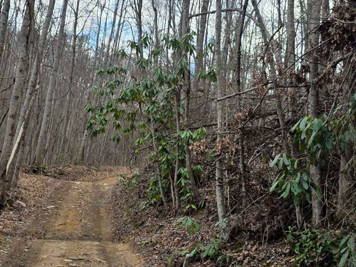 White Oak Flats photo 3