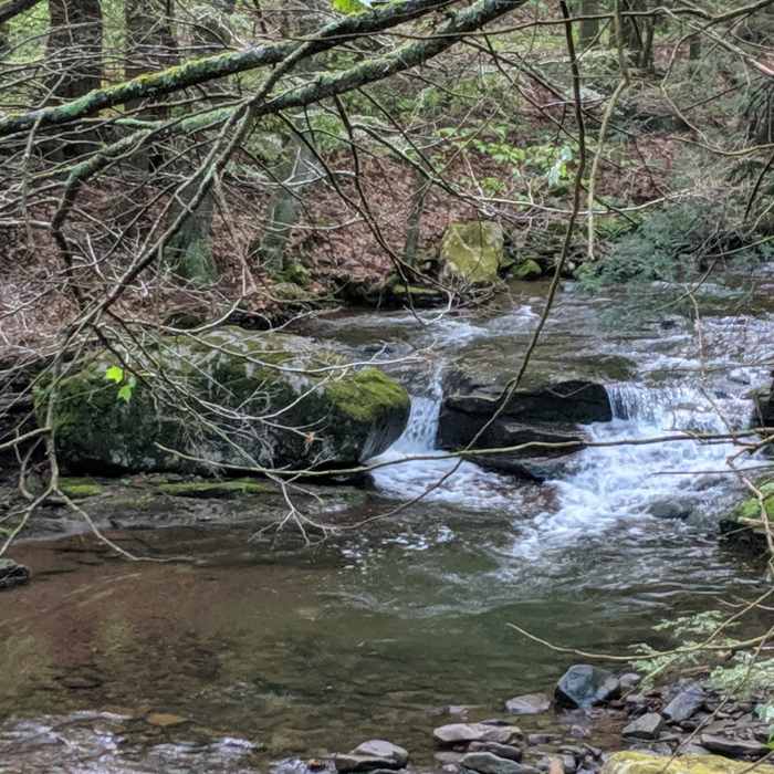 Near Flat Rock Run Trail