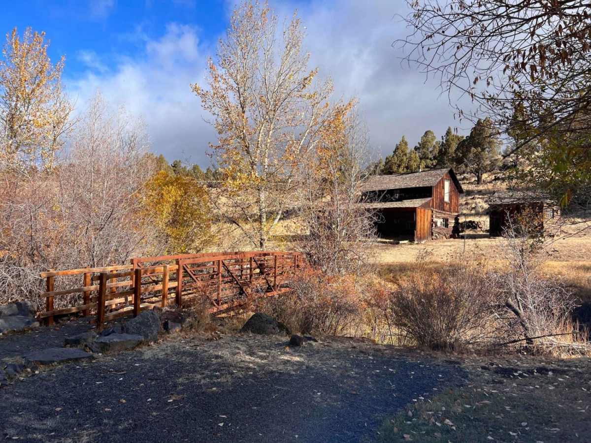 Riddle Brothers Ranch photo 4