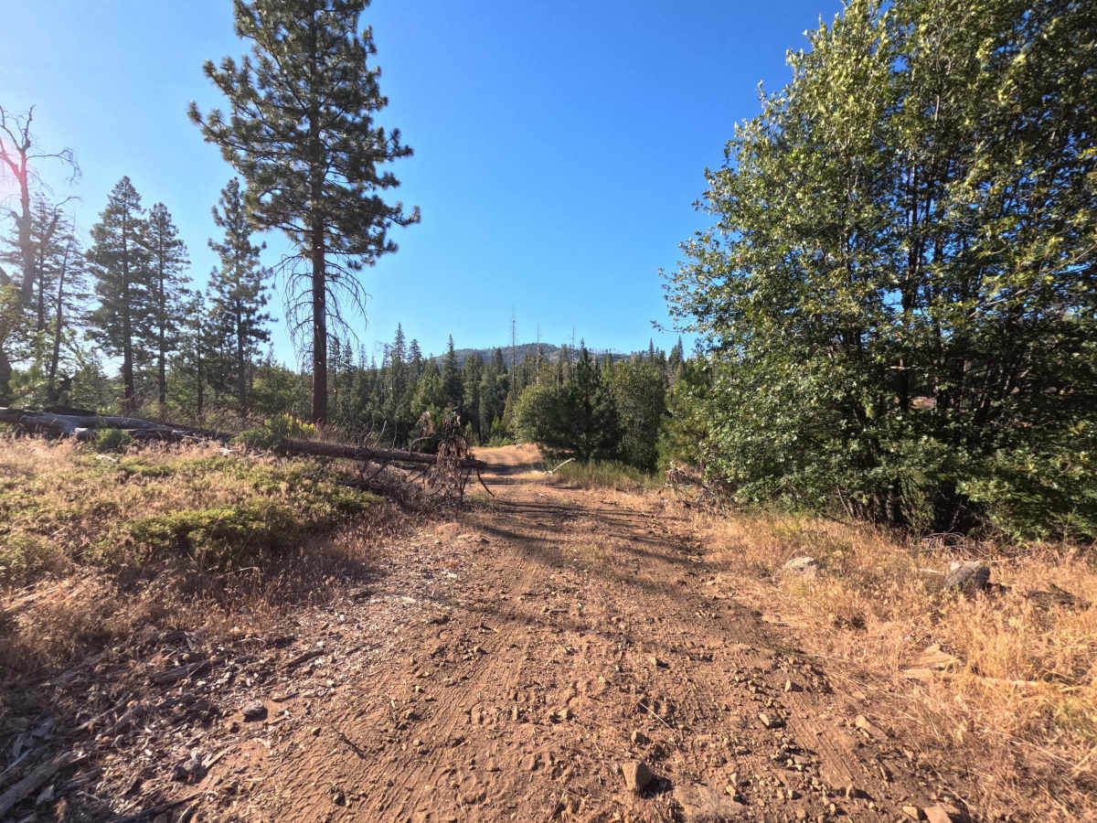 FS 1S96 photo 4