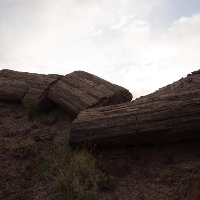 Near Painted Desert Near Painted Desert