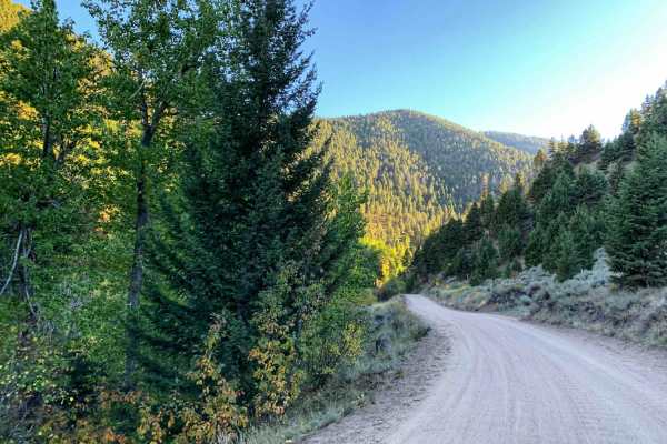 Potosi Willow Creek