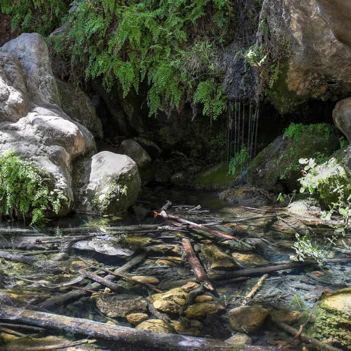 Near Solstice Canyon Near Solstice Canyon