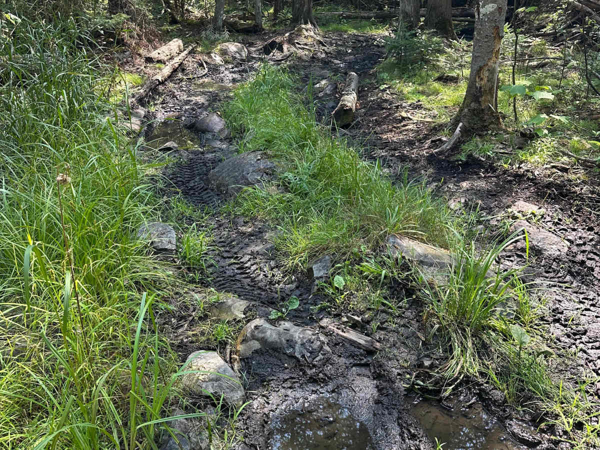 Short Mud photo 5