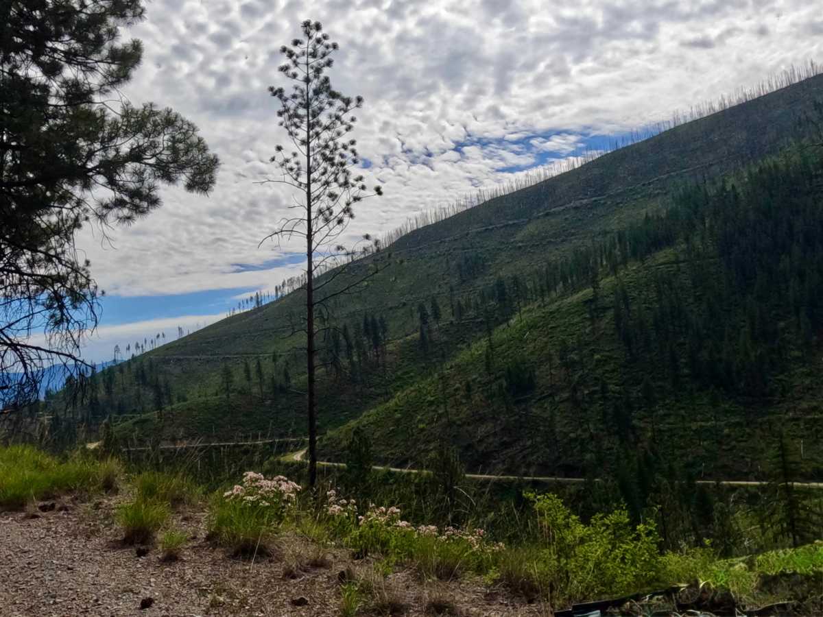 Weaver Gulch Trail photo 4