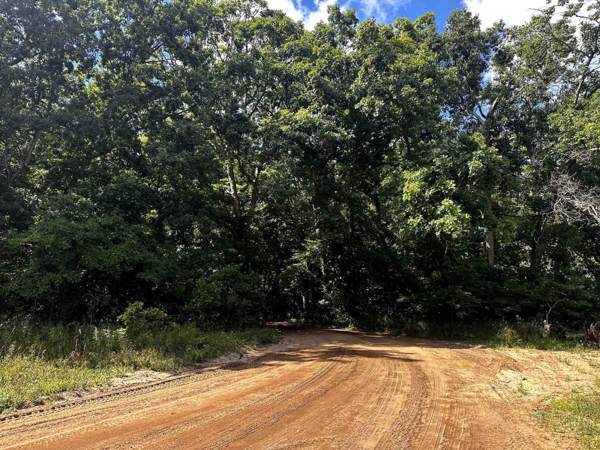 126th Avenue photo 3