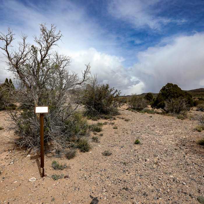 Near Eagle Point Trail Near Eagle Point Trail