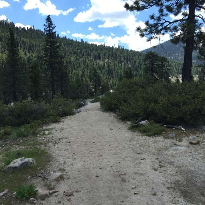 Near Pyramid Creek Loop Trail