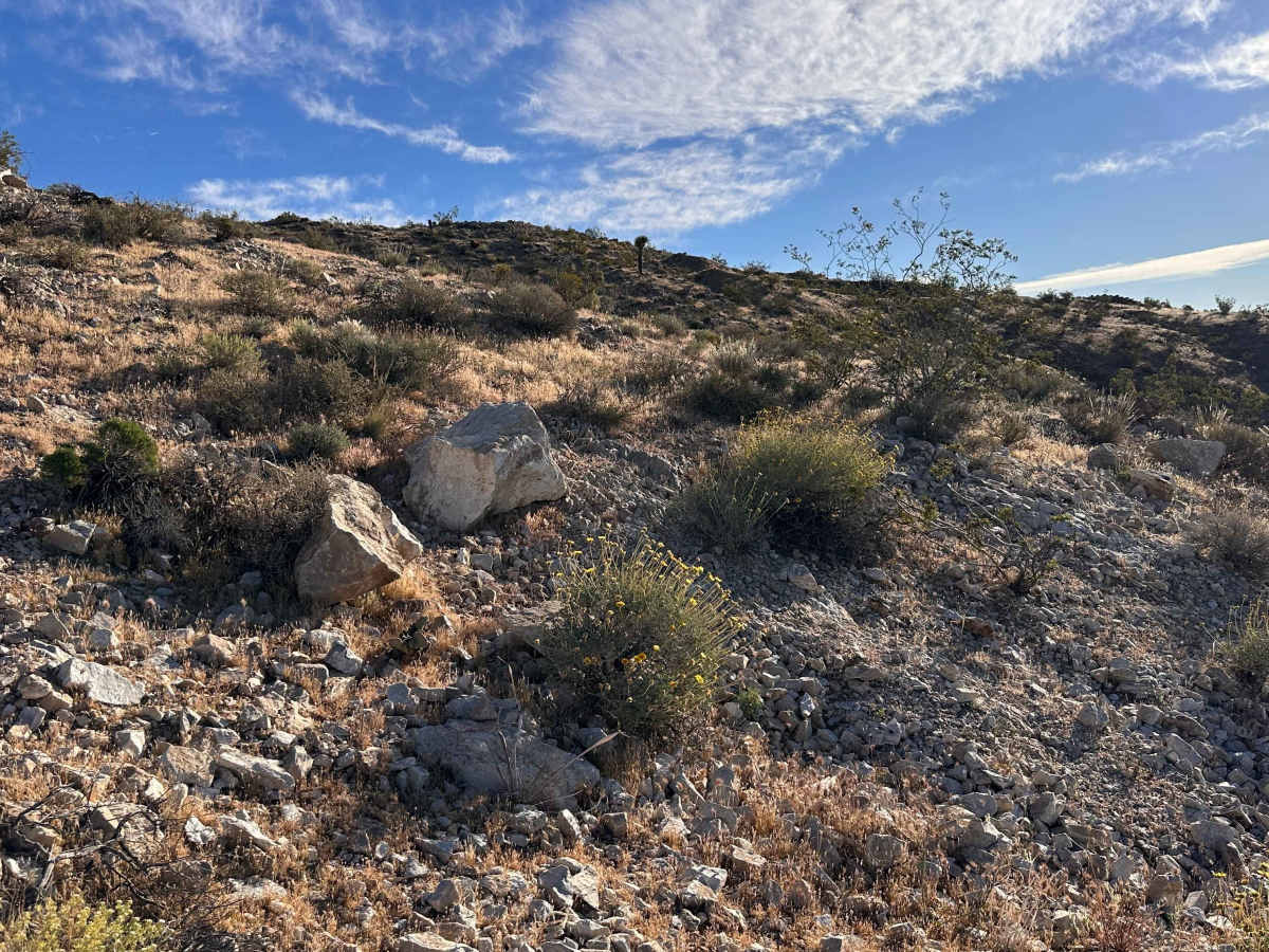 Coyote Campout photo 6