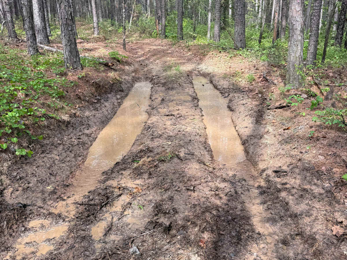 Boney Mountain Trail photo 4