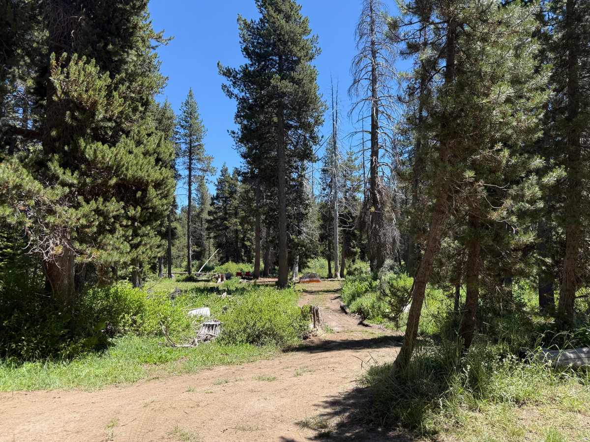South Sucker Road - FS 11N26E photo 6