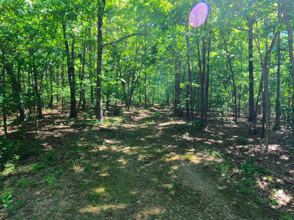 Bluegrass - FS 3528 photo 6