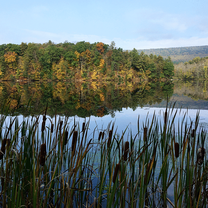 Near Shaver's Creek Lake Loop