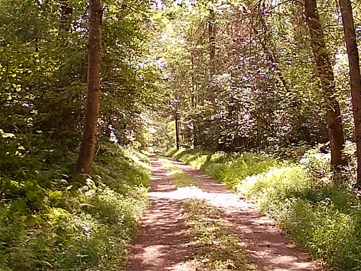 Old Mingle road photo 5