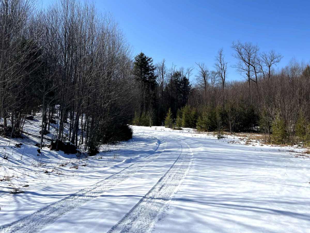 Westline Loop photo 2