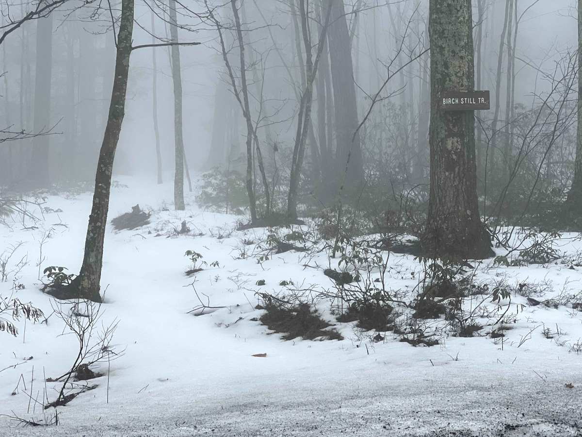 Broad Ridge Trail photo 3
