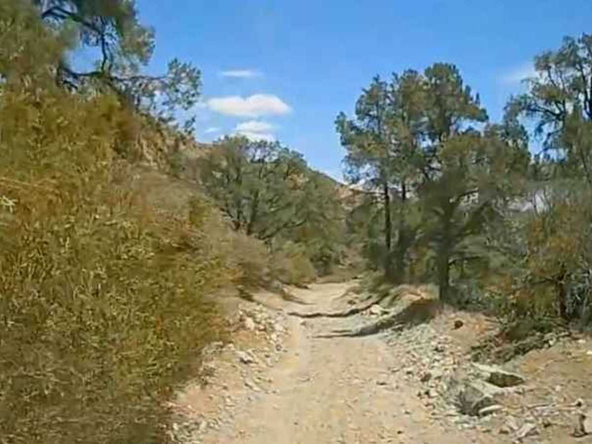 Sterling Canyon Trail photo 3