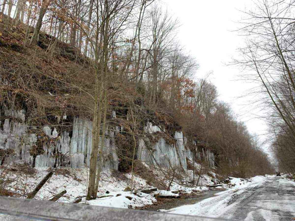Piney Rail Trail photo 6