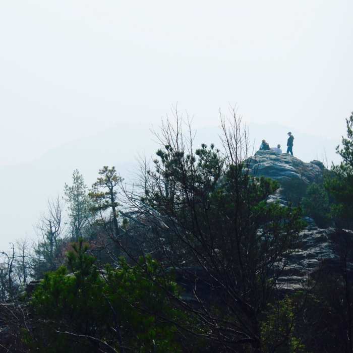 Near Table Rock near the Linville Gorge Wilderness Near Table Rock near the Linville Gorge Wilderness