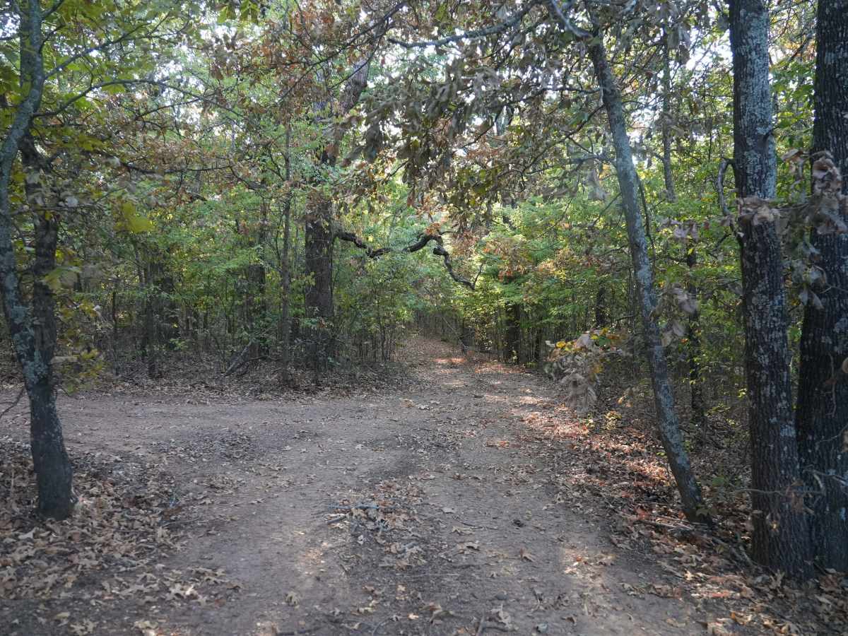 Blue 41 trail photo