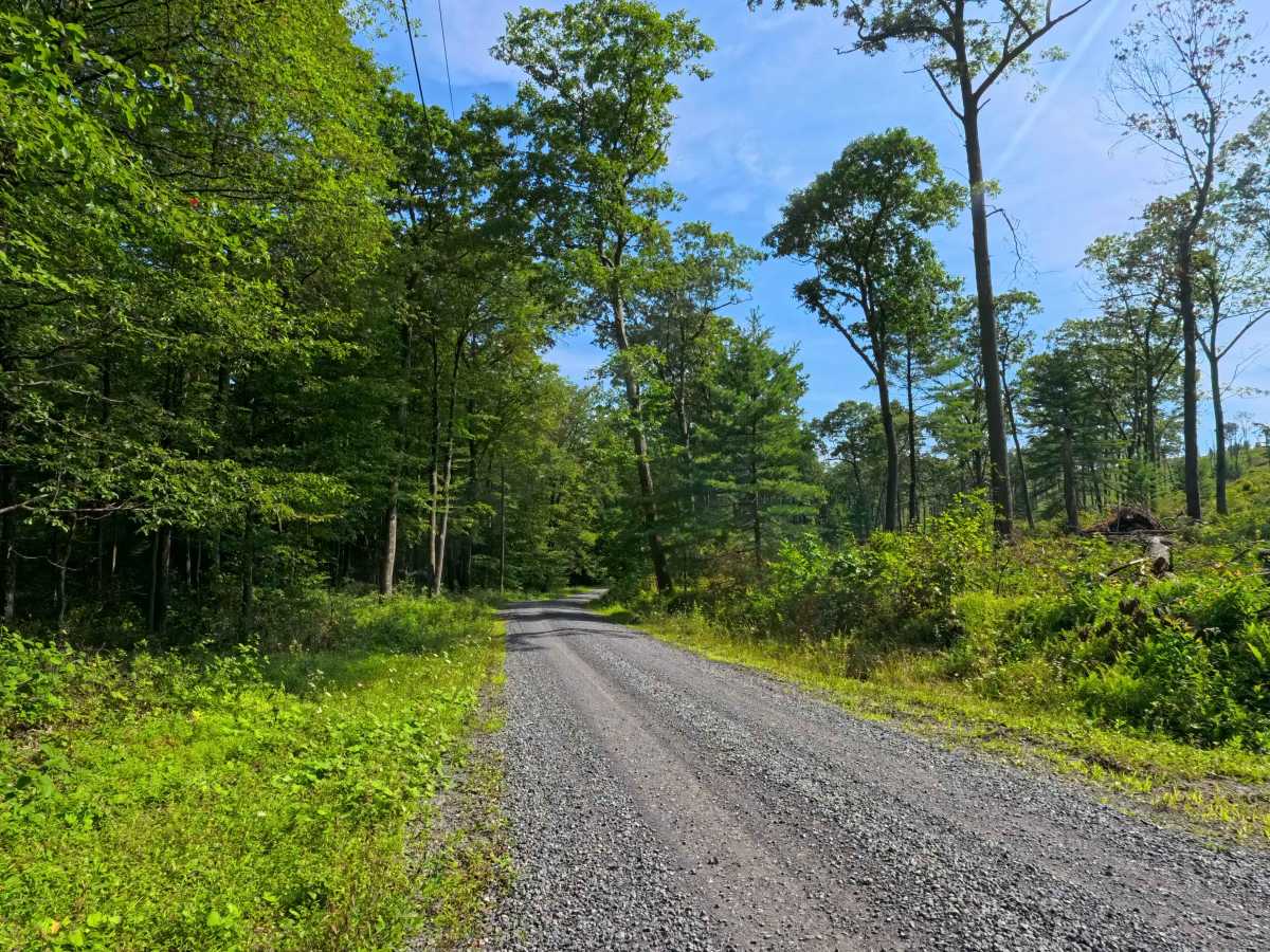 Boal Gap Road photo 5