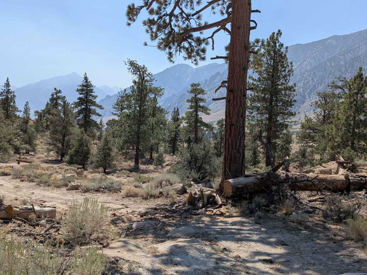 FS 5S105 trail photo