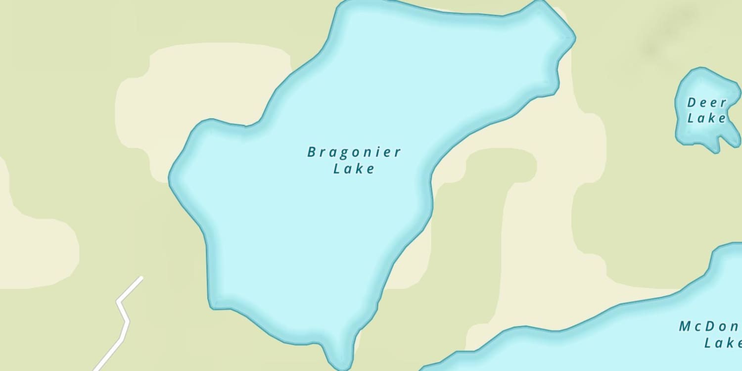 Bragonier Lake