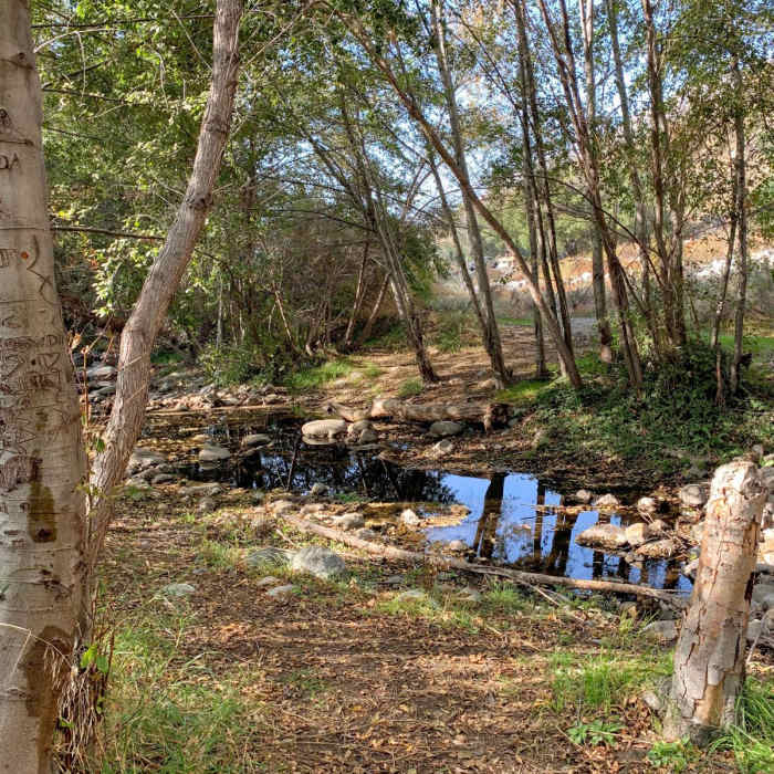 Near Grizzly Flat Trail