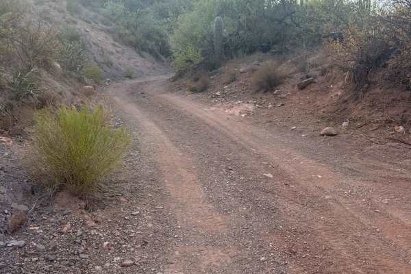 Trail 20003