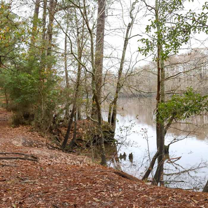 Near Riverwalk Trail