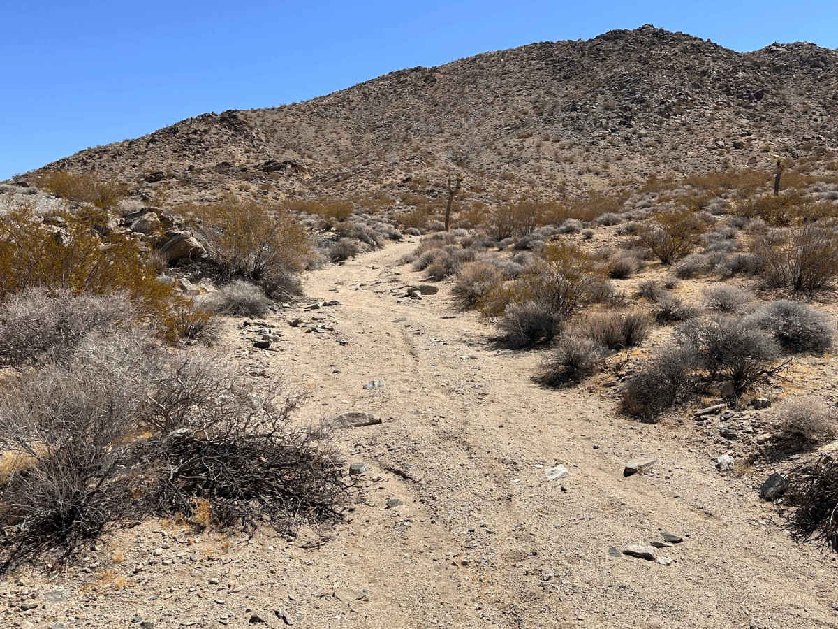 East Fork Wash trail photo