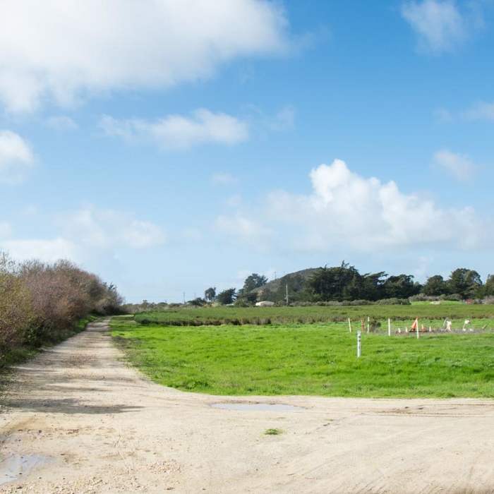 Near Ohlone Bluff Hike Near Ohlone Bluff Hike