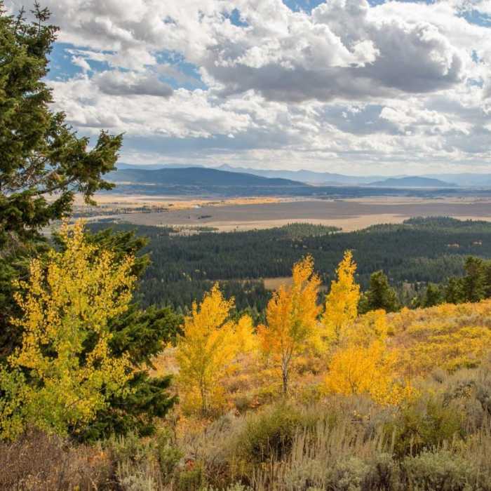 Near Signal Mountain