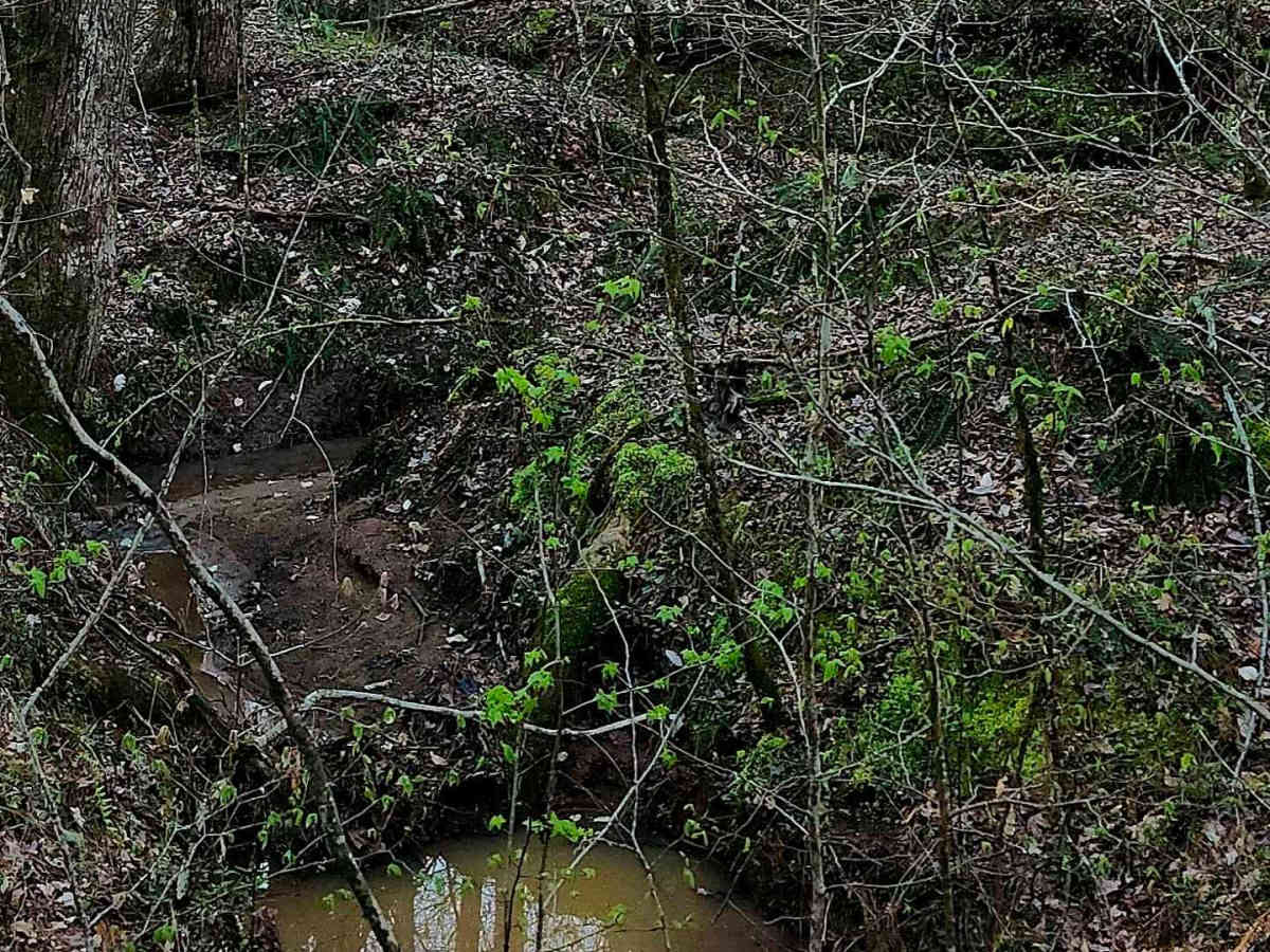 Upper Pope Trail photo 2