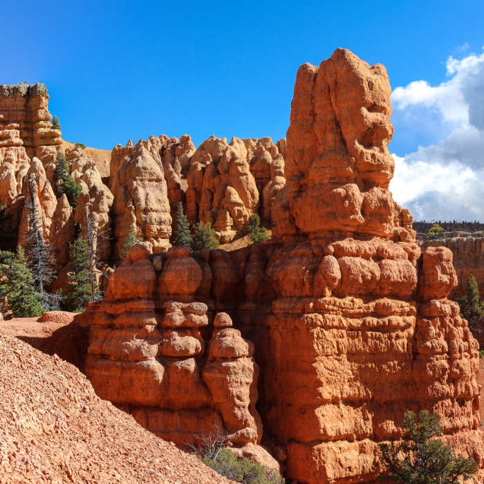Near Photo Trail