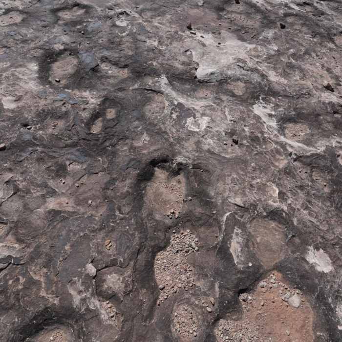 Near Dinosaur Stomping Grounds Trail