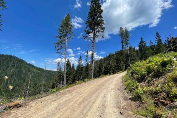 Echo Peak OHV