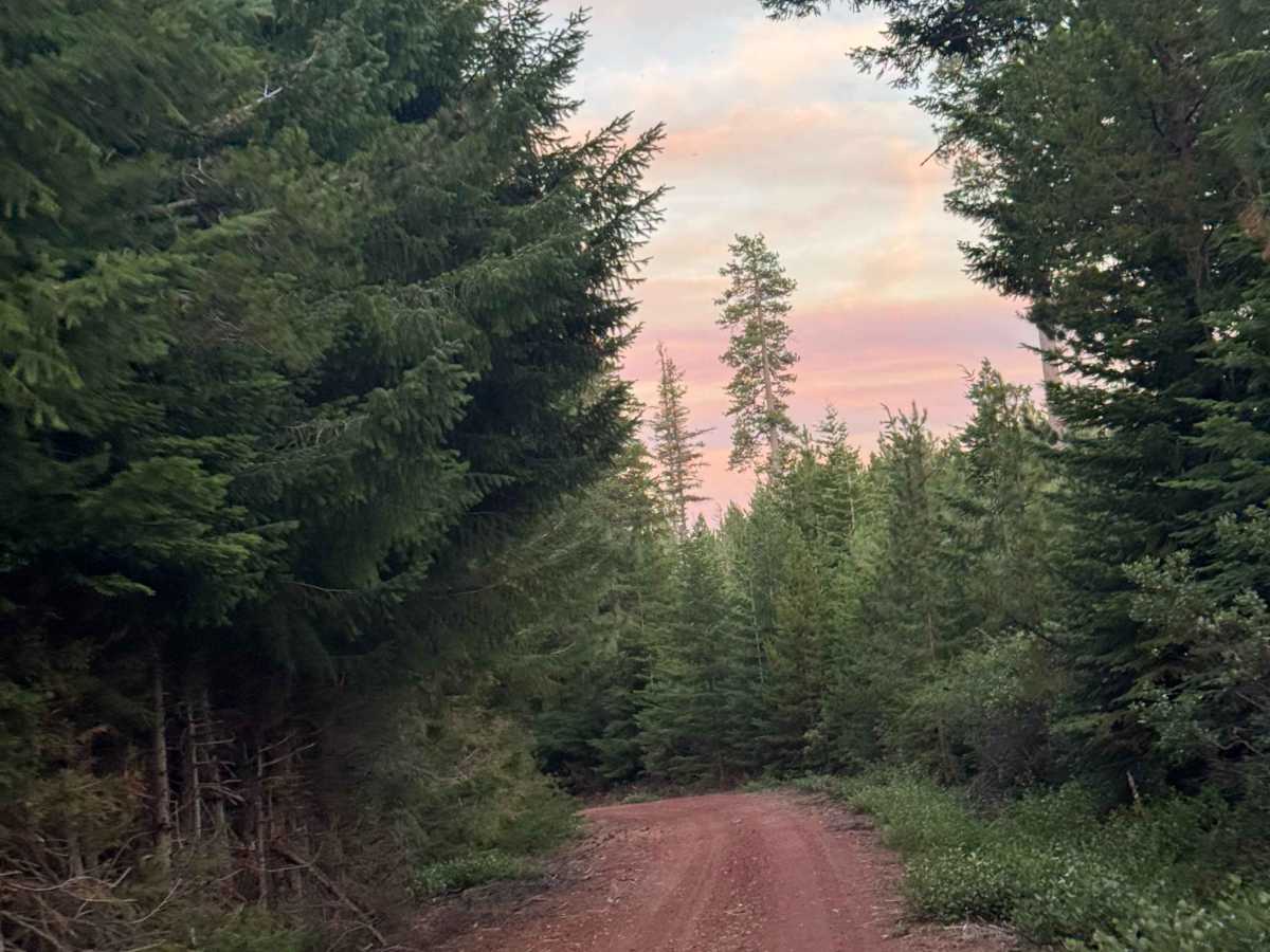 Cabot Lake Trail photo 5