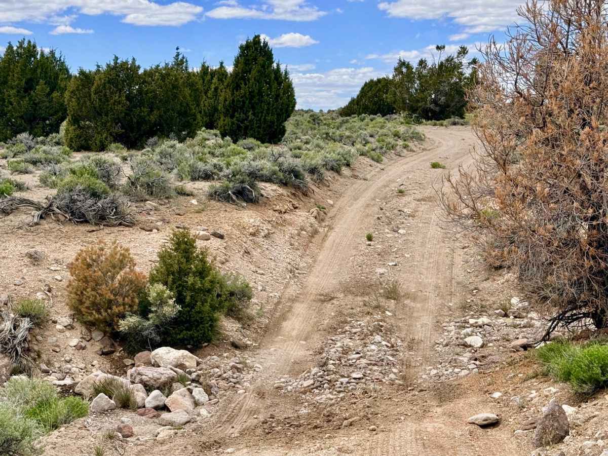 Castle Rock - FS 44235 photo 6
