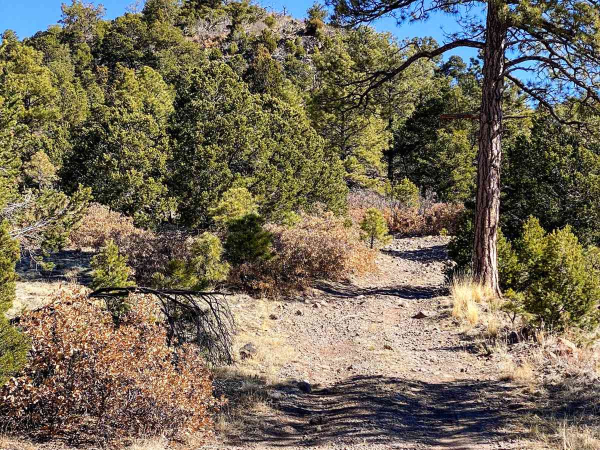 Clara Peak photo 6
